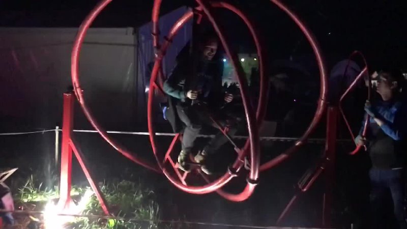 Дикая_мята_2022